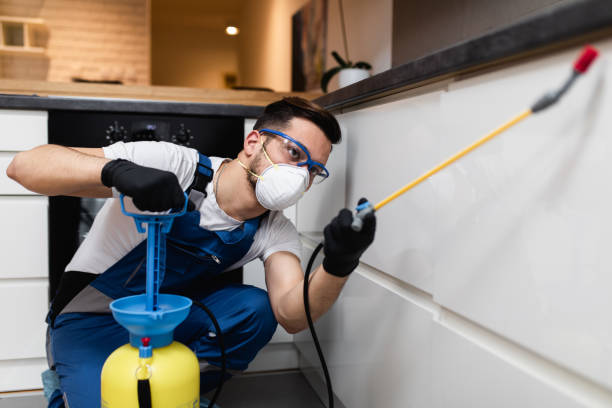 Best Flea Control Services  in Porcupine, SD