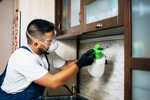 Best Emergency Pest Control  in Porcupine, SD