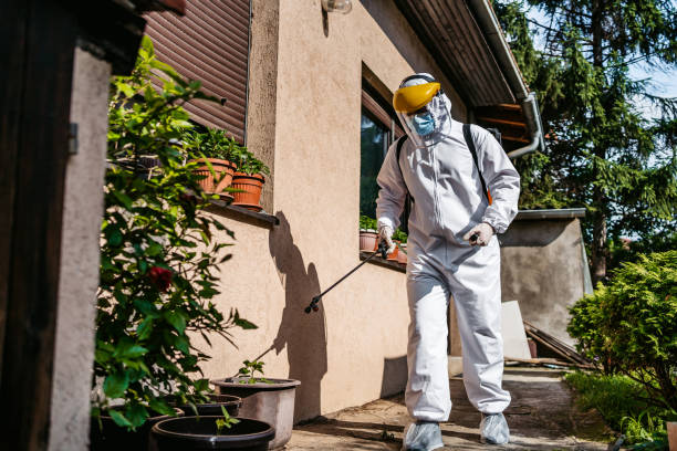 Best Mosquito Control Services  in Porcupine, SD