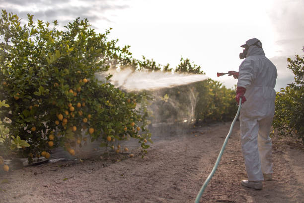 Best Pest Control Near Me  in Porcupine, SD