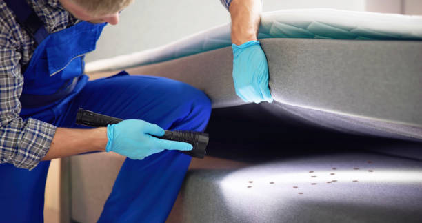 Professional Pest Control in Porcupine, SD