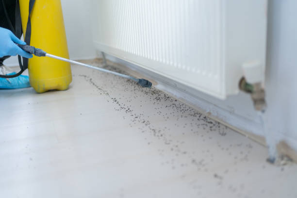 Best Affordable Exterminators  in Porcupine, SD