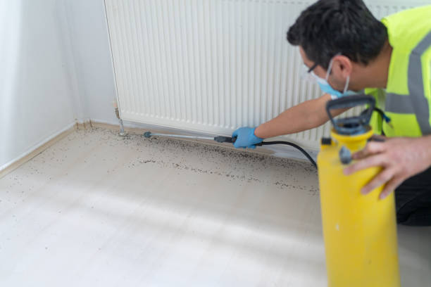 Best Best Pest Control Companies  in Porcupine, SD