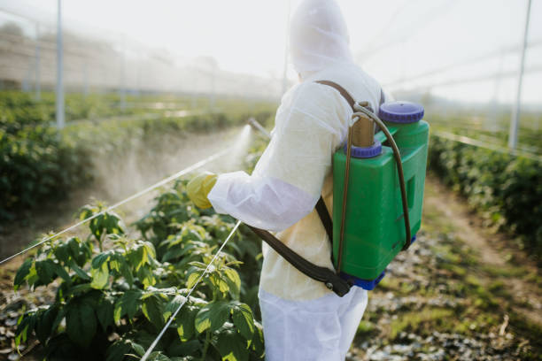 Best Exterminator Services  in Porcupine, SD